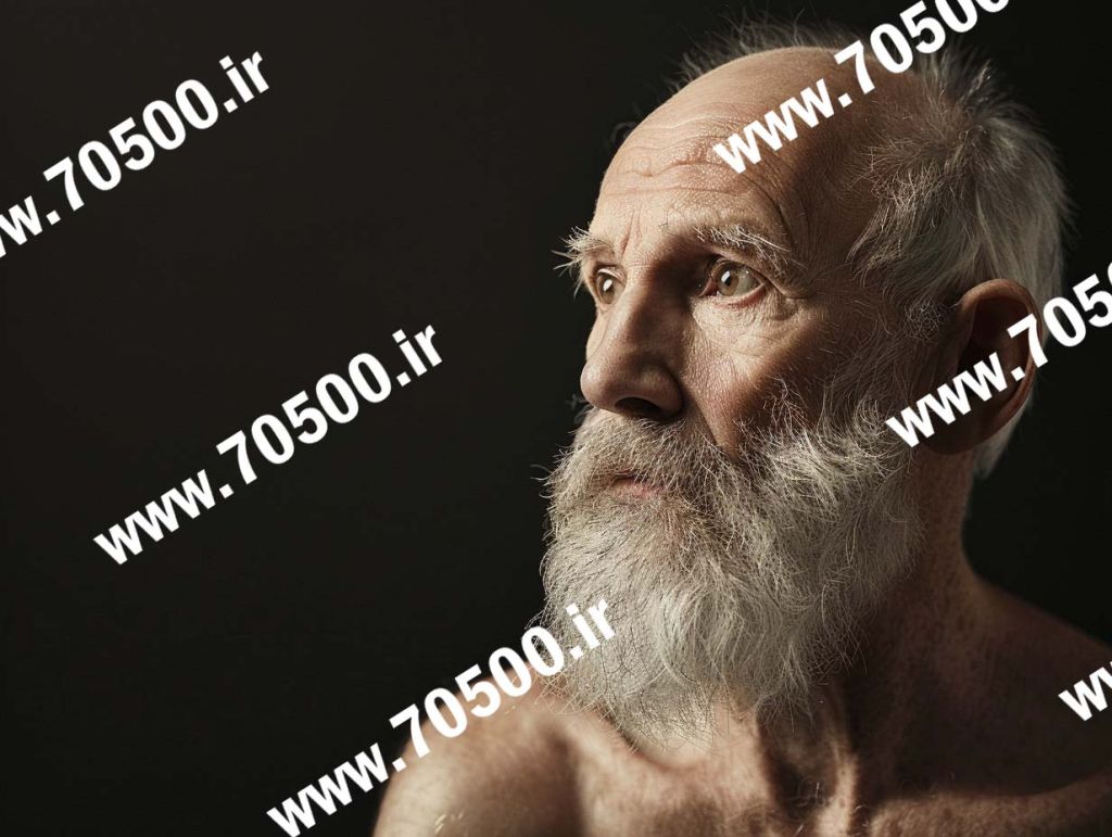 فروش عکس ، عکس رایگان ، دانلود عکس ، طرح رایگان