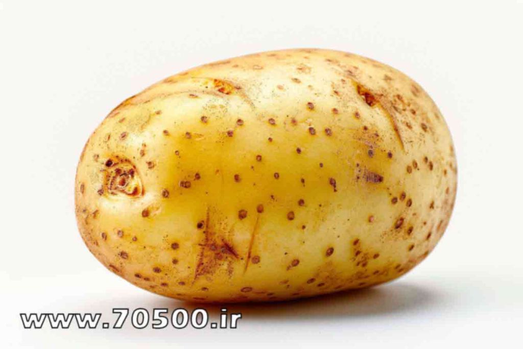 دانلود عکس با کیفیت سیب زمینی