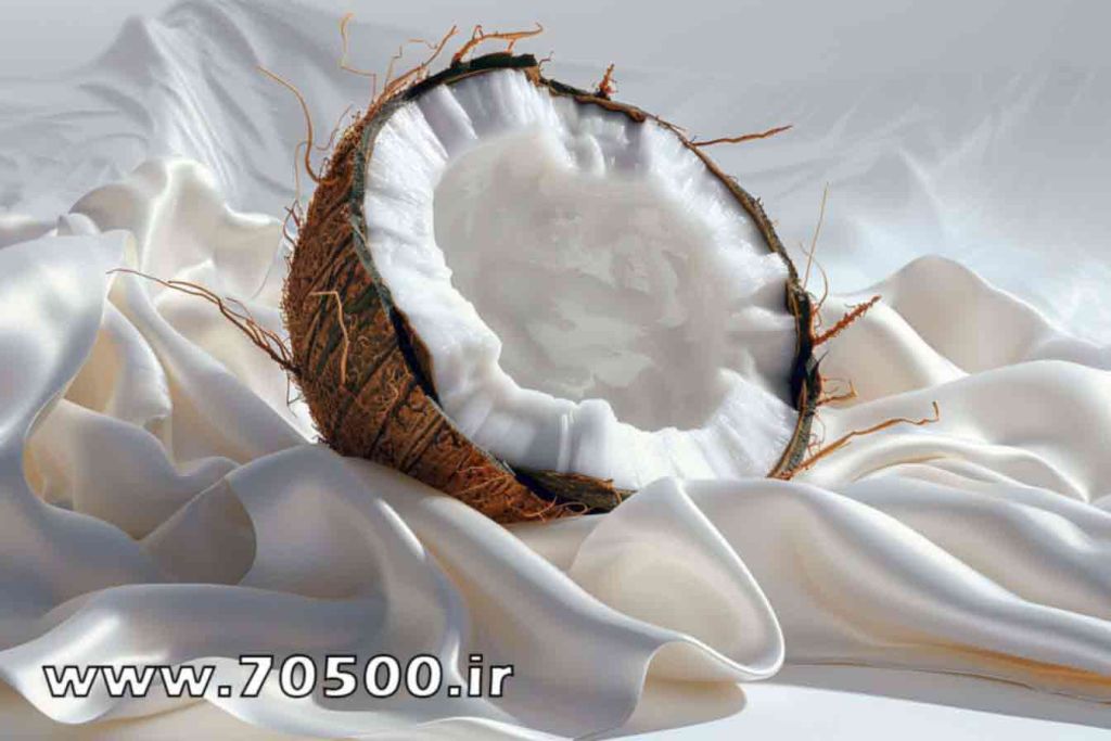 عکس طراحی نارگیل