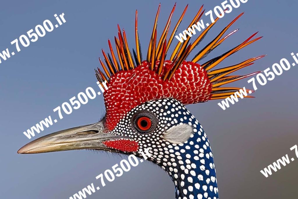 دانلود عکس پرنده نقاشی
