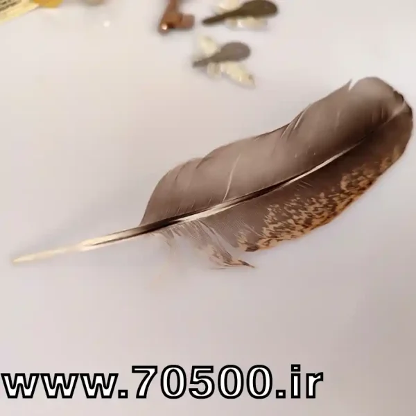 پر جادویی هری پاتر