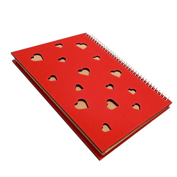 دفتر خاطرات خاص