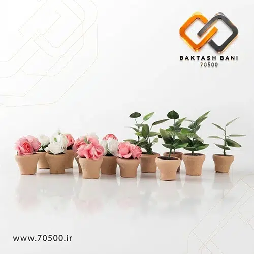 گلدان مینیاتوری مدل آپارتمانی و گل فانتزی